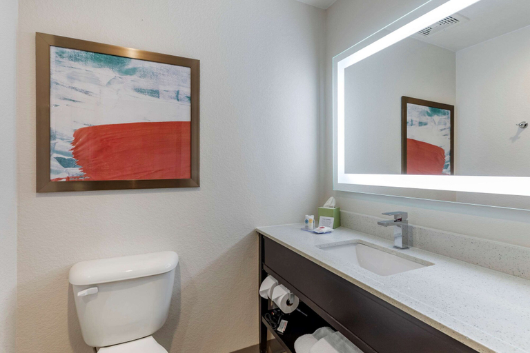 Bathroom 4, Comfort Inn & Suites Bennett, Adams