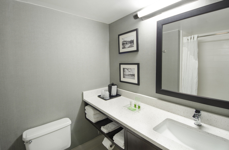 Bathroom 4, Holiday Inn Princeton by IHG, Middlesex