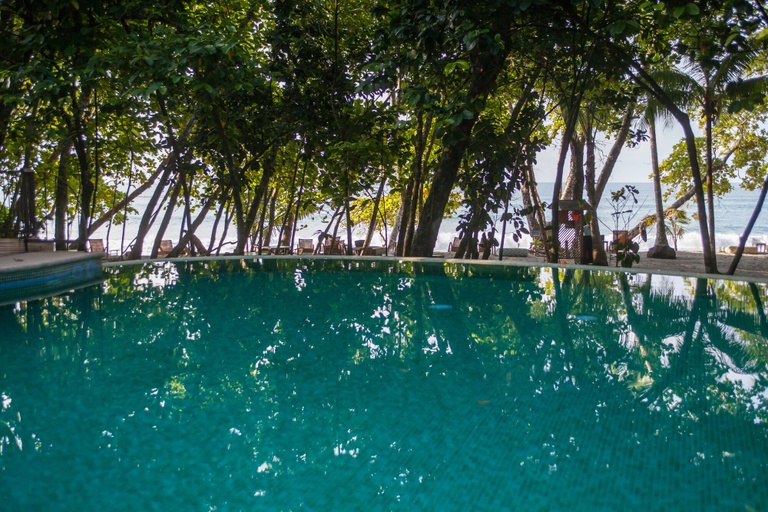 Sport & Beauty 3, Arenas Del Mar Beachfront & Rainforest Member of the Cayuga Collection, Aguirre
