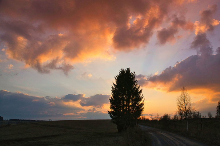 Others 5, The House to Stay for Holidays, Harz