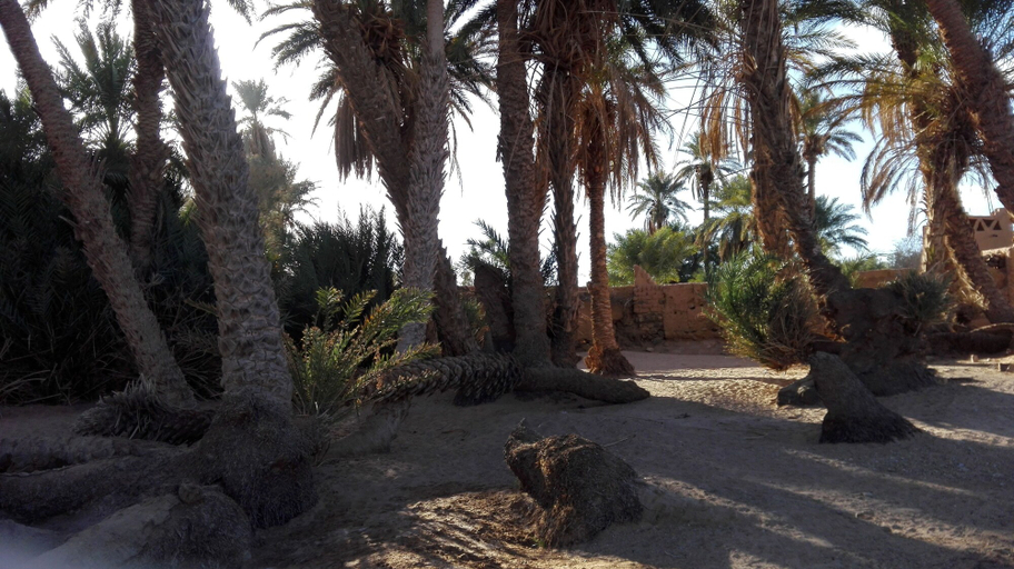 Others 4, Kasbah Aladdin, Ouarzazate