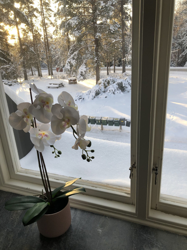 Others 5, Garpgården, Hedemora
