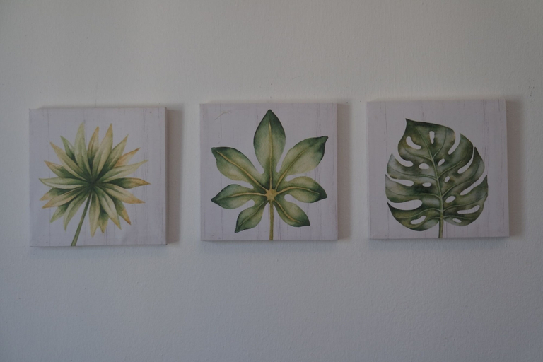 Others 5, Le terrazze rooms, Rovigo