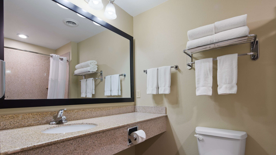 Bathroom 5, Best Western Oasis Inn, Hemphill