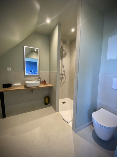 Bathroom 5, La Bellevue Bistrot et Chambres D'hotes, Morbihan