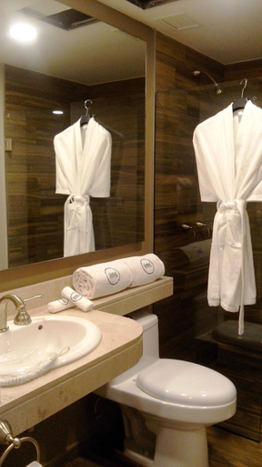 Bathroom 5, Historico Central Hotel, Mexico City