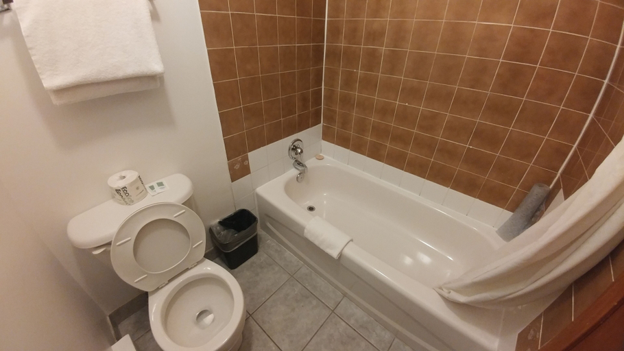 Bathroom 5, Northlander Motel, Algoma