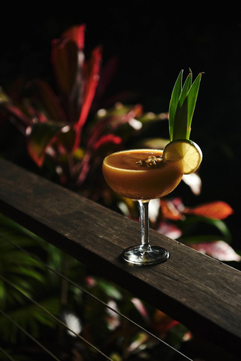 Food & Drinks 5, Daintree Ecolodge, Douglas