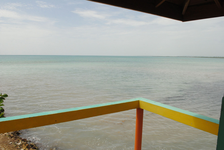 Others 4, Bluefields on the Bay