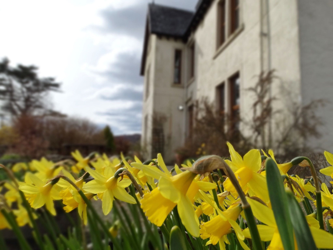 Exterior & Views, Kilchoan House Hotel, Highland