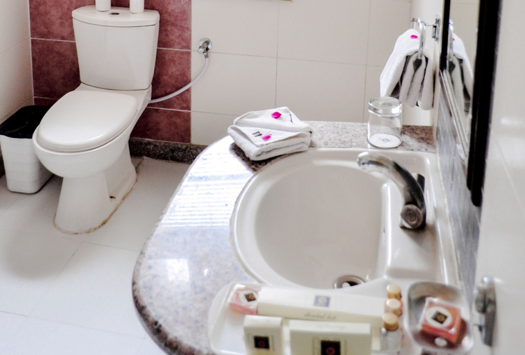 Bathroom 4, Royal Heritage Kishangarh, Ajmer