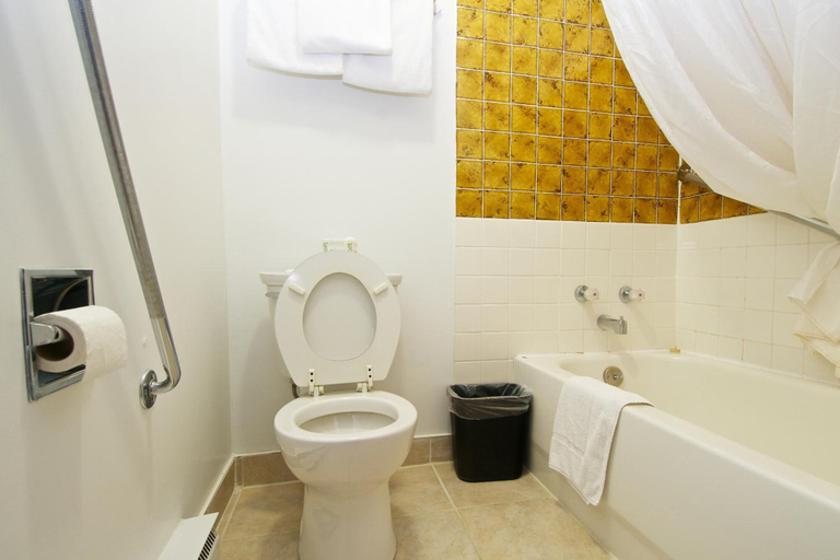 Bathroom 3, Northlander Motel, Algoma