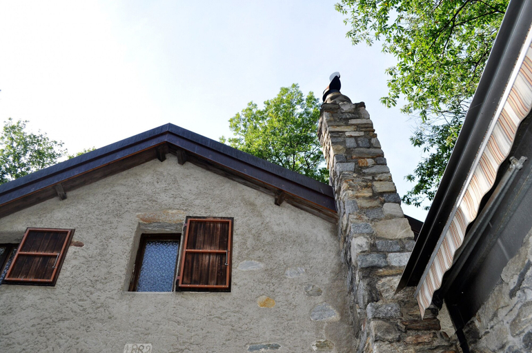 Exterior 3, Typical, Romantic Tessiner Cottage, Lugano