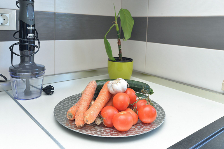 Food & Drinks 5, Apartment 1779, Medulin