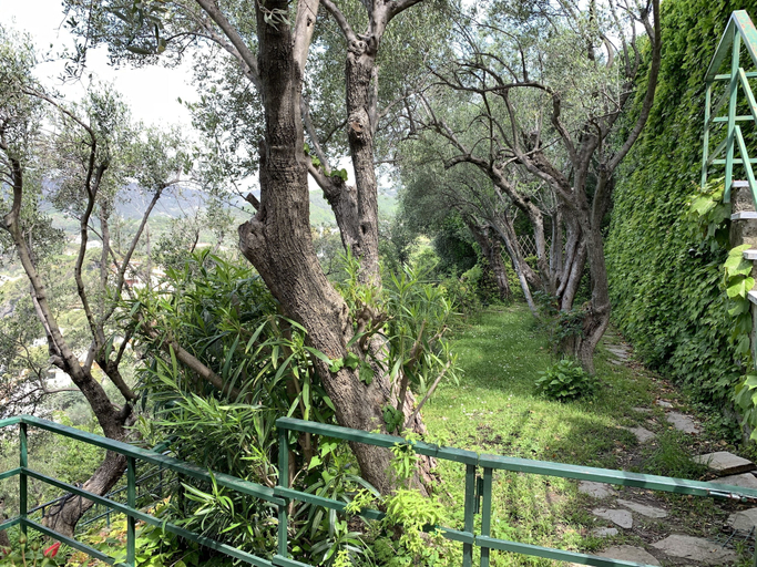 Garden, House Mediterraneo, Genova