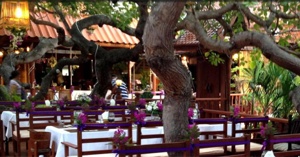 Food & Drinks 5, Harry's bungalow & Restaurant, Ko Samui