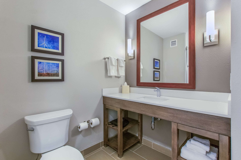 Bathroom 4, Comfort Inn Jasper South, Dubois
