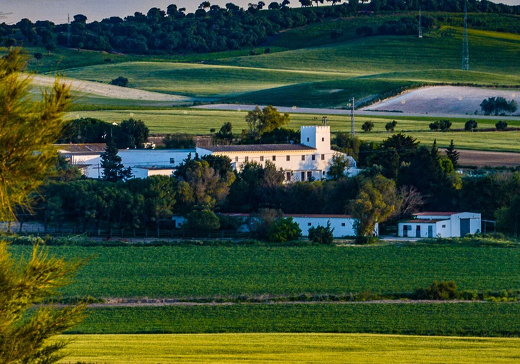 Others 5, Cortijo de Guerra, Cádiz