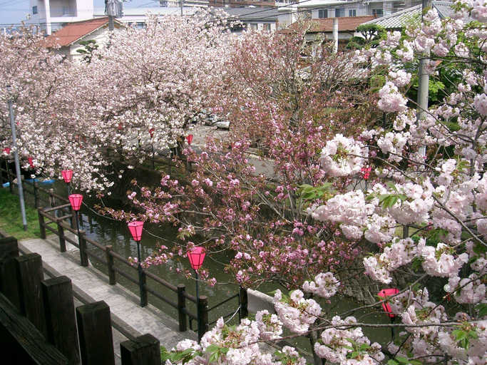 Exterior & Views 2, Tabino Yado Satsuki, Hita