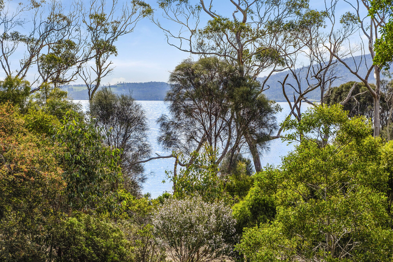 Others 4, Mandala Bruny Island, Kingborough