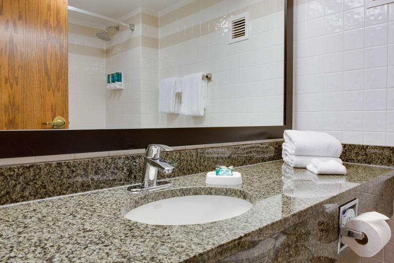 Bathroom 4, Drury Plaza Hotel San Antonio Airport, Bexar