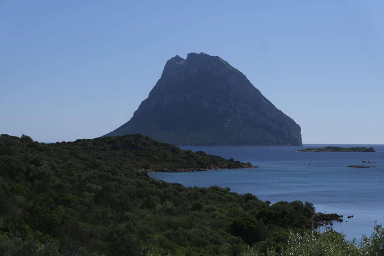 View from room 3, Aria di Vacanza - Costa Dorata Cod 4, Olbia-Tempio