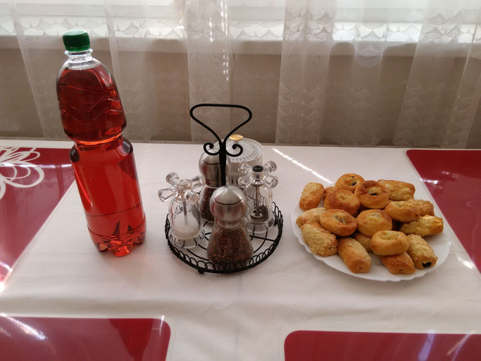 Food & Drinks, Large Apartment in the heart of Slovácko, Uherské Hradiště
