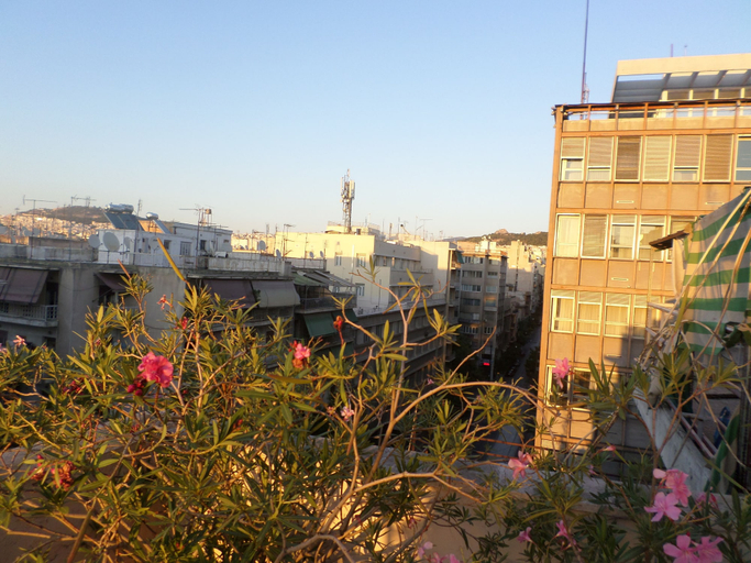 Others 5, Nafsika Hotel Athens Centre, Attica