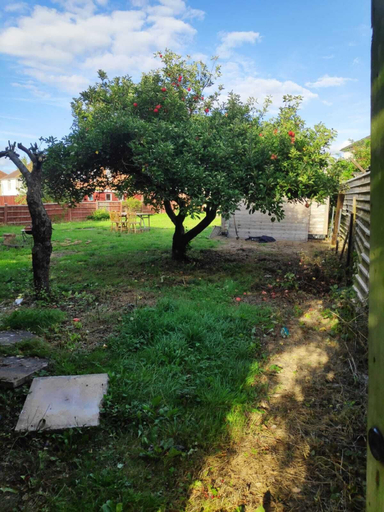Others 5, Worcester Town Centre Home & Garden, Worcestershire