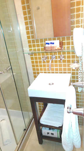 Bathroom 5, Telmho Hotel Boutique, Distrito Federal