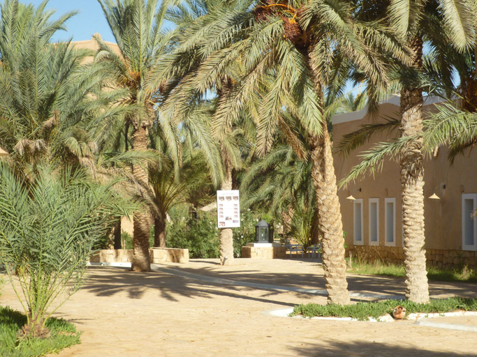 Exterior & Views 2, Campement Yadis Ksar Ghilane, Douz