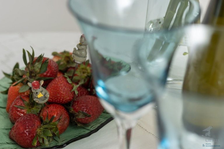 Food & Drinks 5, Mina Apartment, Split