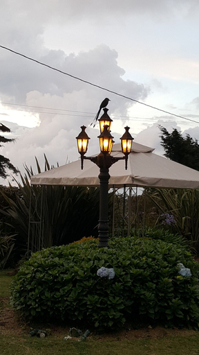 Others 4, Casa Mosaico Hotel Boutique, Rionegro