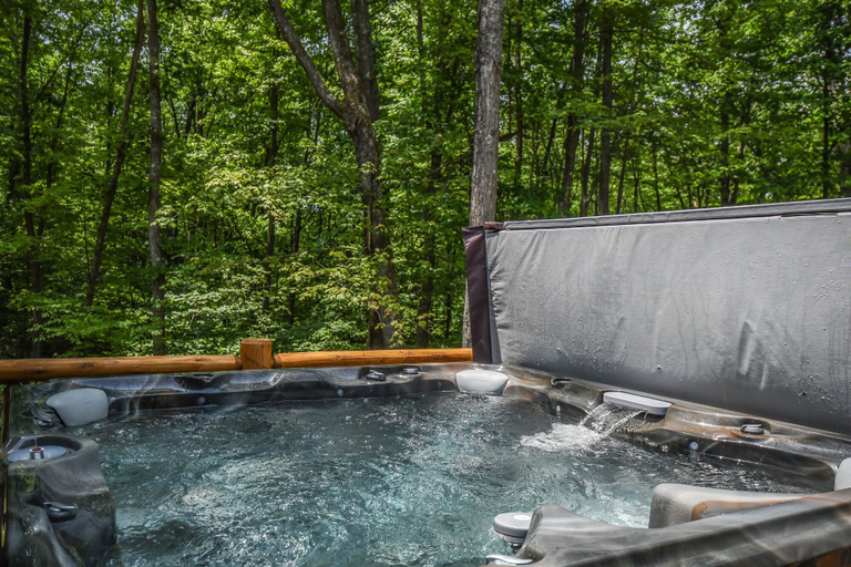 Sport & Beauty, Hemlock Hideaway 6 Bedroom House, Garrett