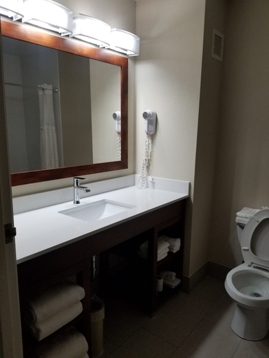 Bathroom 5, Comfort Inn & Suites Geneva - West Chicago, Kane