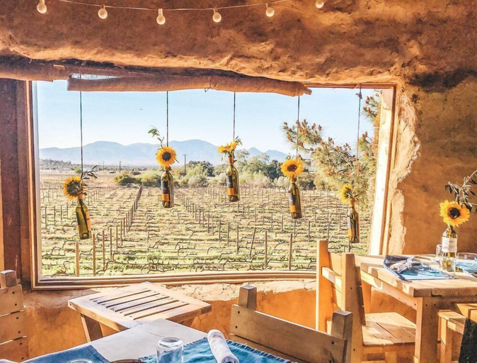 Food & Drinks 5, Ecovino Valle de Guadalupe, Ensenada