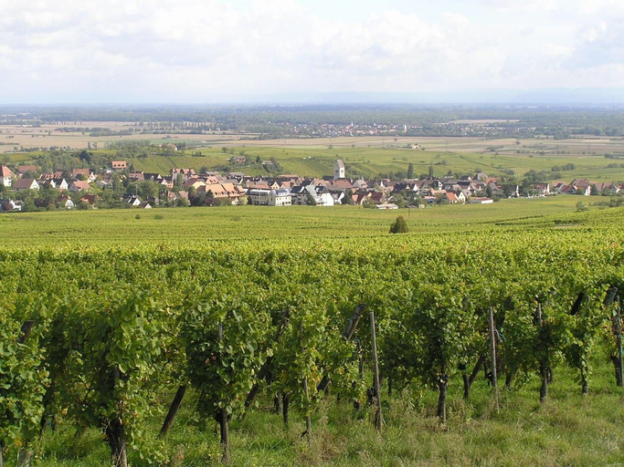 Others 5, Centre Le Mittel, Haut-Rhin