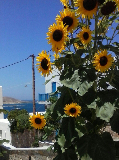 Exterior & Views 2, Athina Studios, South Aegean