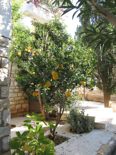 Others 4, Guesthouse Punta Mira - Beachfront, Novalja