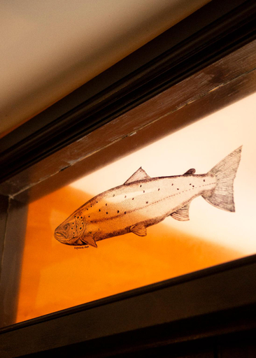 Others 4, The Leaping Salmon, Devon