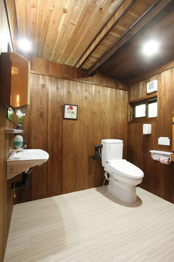 Bathroom 4, Takimi Onsen Inn, Nagiso
