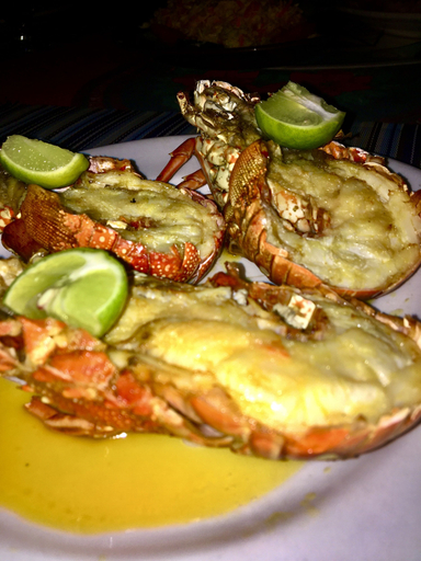 Food & Drinks, Hotel Rio Bueno