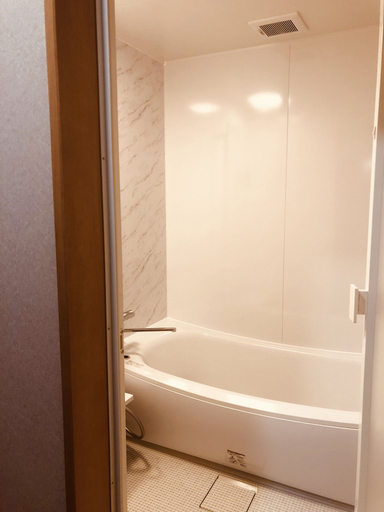 Bathroom 3, Ryutakuzenji, Takasaki