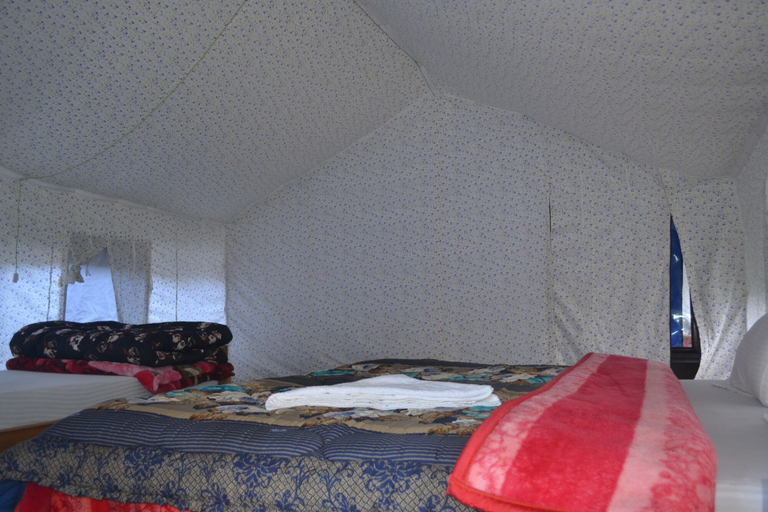Bedroom 3, Nubra Summer Camp, Leh