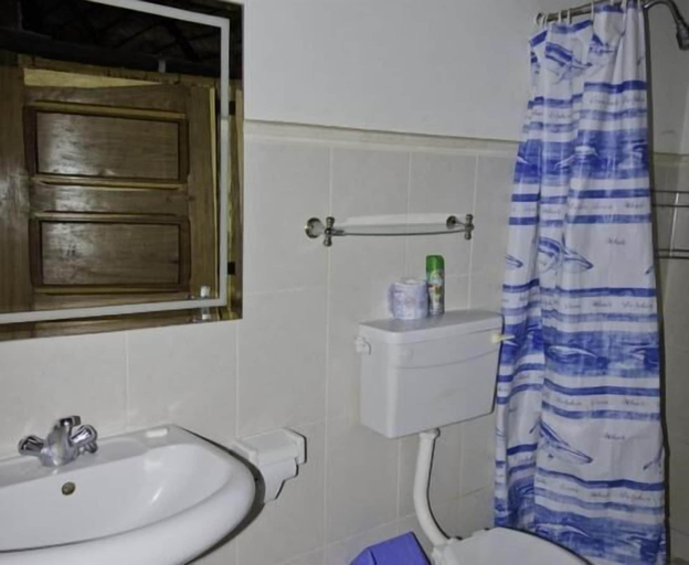 Bathroom, Casa Barry Beach Lodge, Jangamo