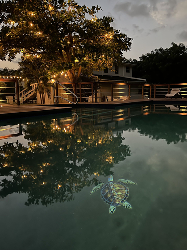 Exterior & Views 2, Mango Bay Resort