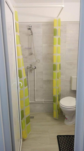 Bathroom 4, Casa Renea, Sfantu Gheorghe