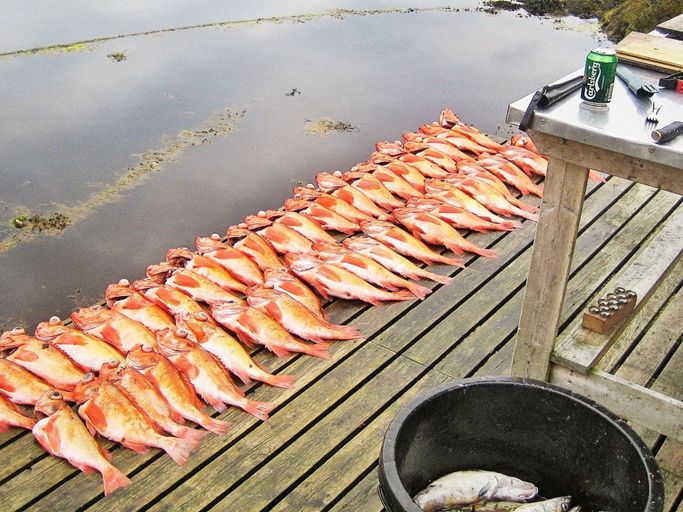 Food & Drinks 5, 7 Person Holiday Home in Titran, Frøya