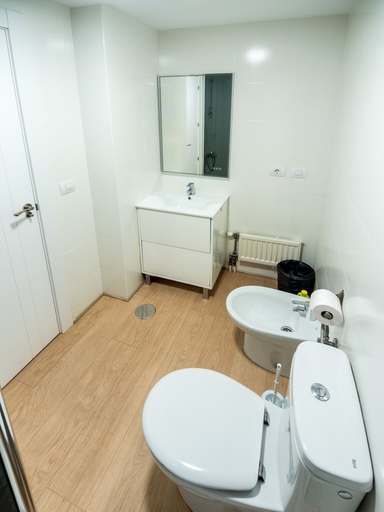 Bathroom 4, Apartamentos Gestión de Alojamientos, Navarra