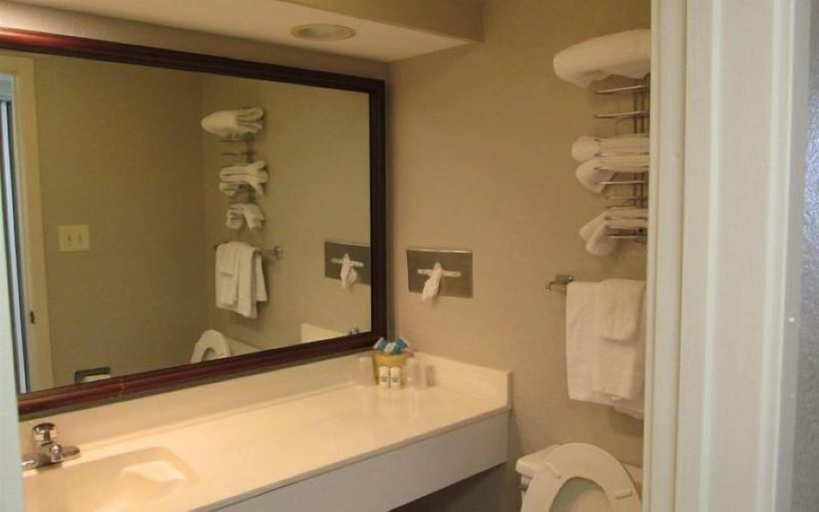 Bathroom, Landmark Resort 945, Horry